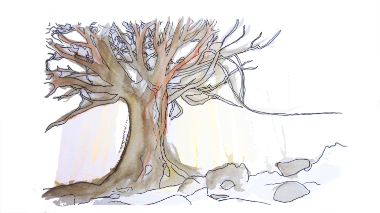 arbre aquarelle se soigner psychothérapie par l'art Elodie Ventura